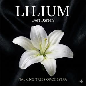 Purple Dream Asiatic