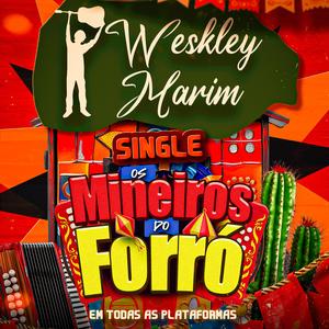 OS MINEIROS DO FORRÓ