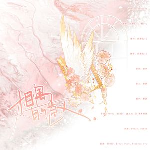 相遇的意义（克拉视角）