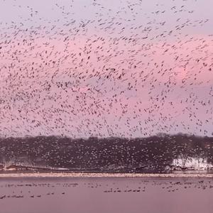 Progression Is Eternal