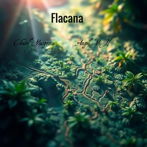 Flacana