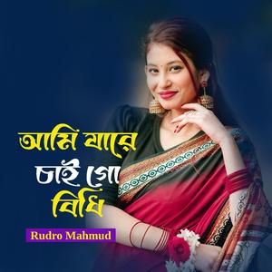 আমি যারে চাই গো বিধি