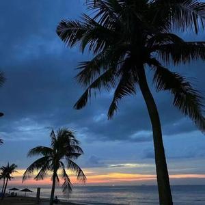 绝对占有相对自由 (Cover Zz韩涵)