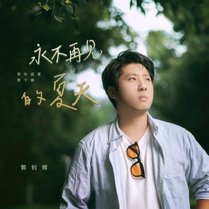 永不再见的夏天