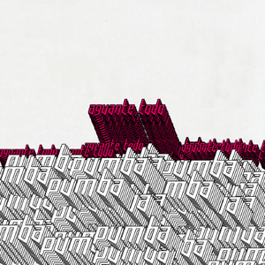 Aguante Todo - Electrochongo Remix