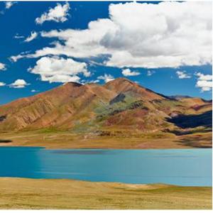 陪我到可可西里去看海