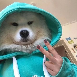 节奏中毒◎HipHop