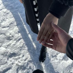 Kayarda San吉他版