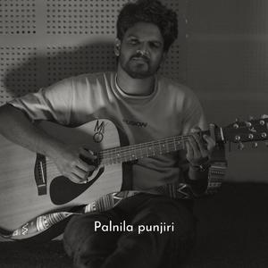 Palnila punjiri (Accoustic Version)