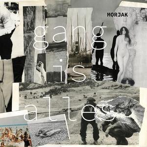 Schitterende ogen (Ronja)