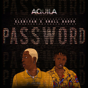 Password