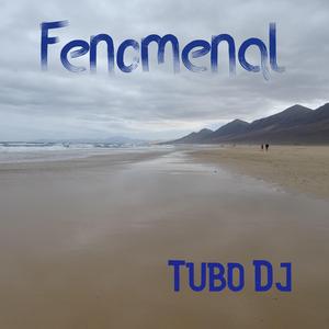 Fenomenal