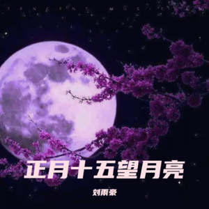 正月十五望月亮 伴奏