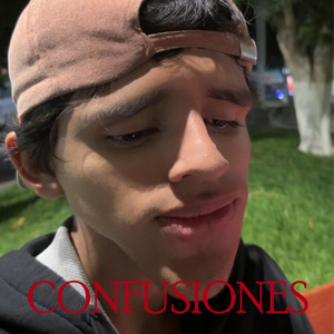 Confusiones