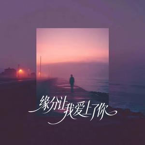 缘分让我爱上了你