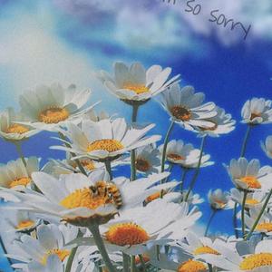 I'm so sorry(Prod EVOMUSIC &jos10)