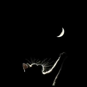 一步之遥(prod by Genuine木子山）