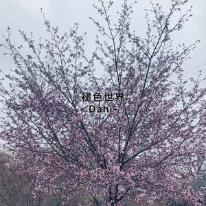 无解（Prod. by Sansssss）