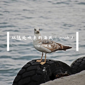 从远处吹来的海风