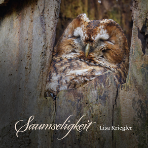 Saumseligkeit