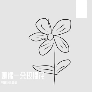她像一朵玫瑰花 伴奏