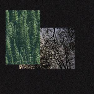 YOU'RE EVERYTHING (feat. savesomeone)