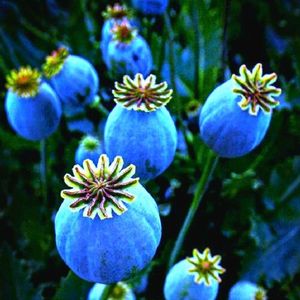 今夜你为伴 人声采样版