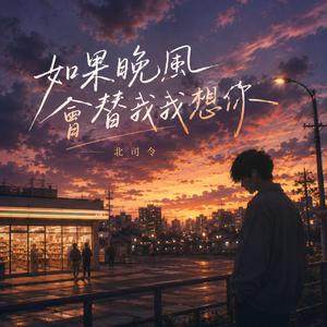 如果晚风会替我想你