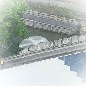 要相信明天会更好demo