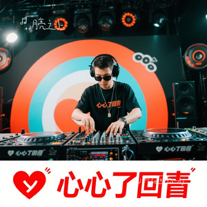 心跳在回响-dj
