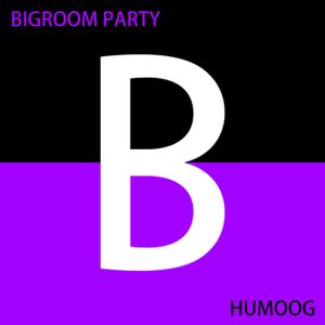 Joke (Bigroom Mix)