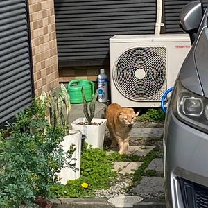 静かな絶望