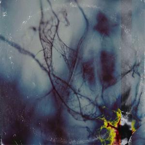 In segno di protesta