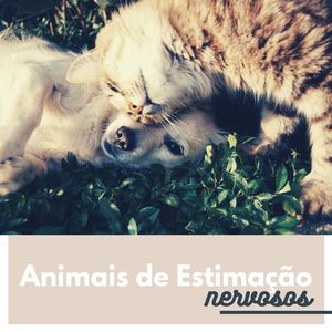 Mais que um Animal de Estimação