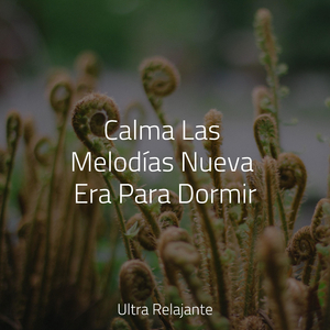 Evolución Armoniosa