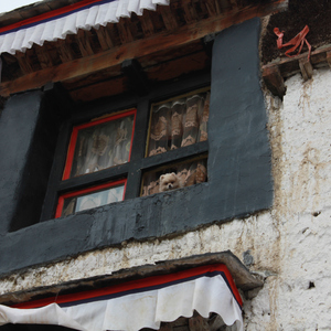 他和她（cover 回音哥）