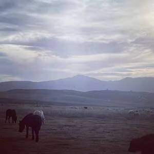 爱很简单——斯蒂芬皮的很！（原唱：陶喆）