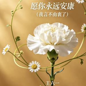 愿你永远安康(我言不由衷了)