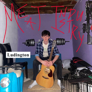 Swine Purger 9000 (Demo)