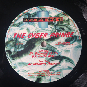 Cyberotic Passions