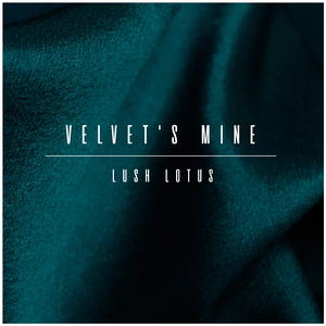 Velvet's Mine