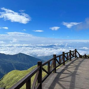 青丝（泪鑫 remix）