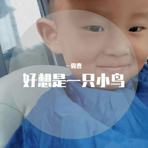 送你一碗鸡汤