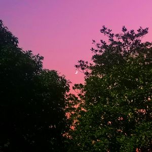 聊天