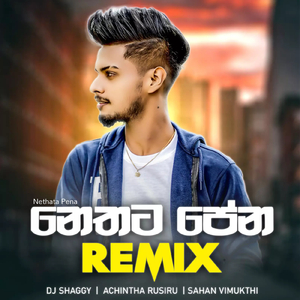 Nethata Pena (Remix)