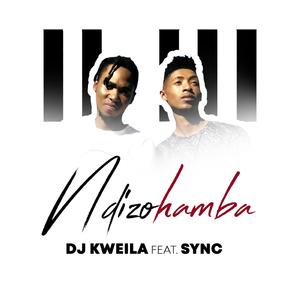 Ndizohamba (feat. Sync)