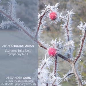 Symphony No. 1 in E Minor: I. Andante