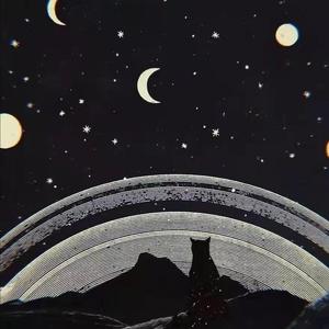 无所求必满载而归