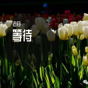 1分35秒歌曲 (50)