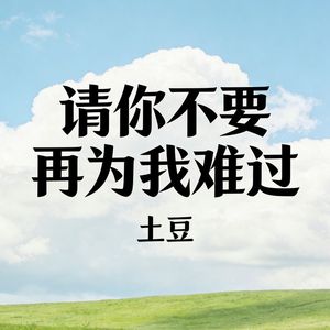 请你不要再为我难过